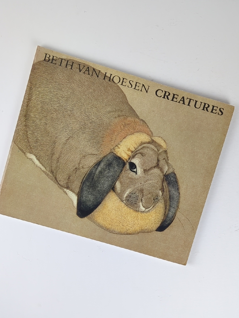 BETH VAN HOESEN - Creatures Art of Seeing Animals Prints Drawings Art Book